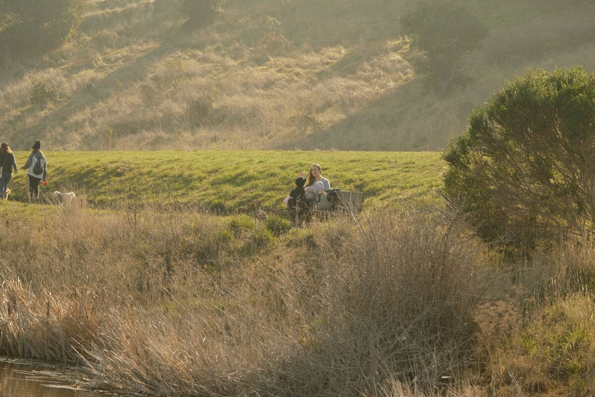 Hillside — Coyote Hills, Fremont, CA, 2022. Shot on Fujifilm X-T5.