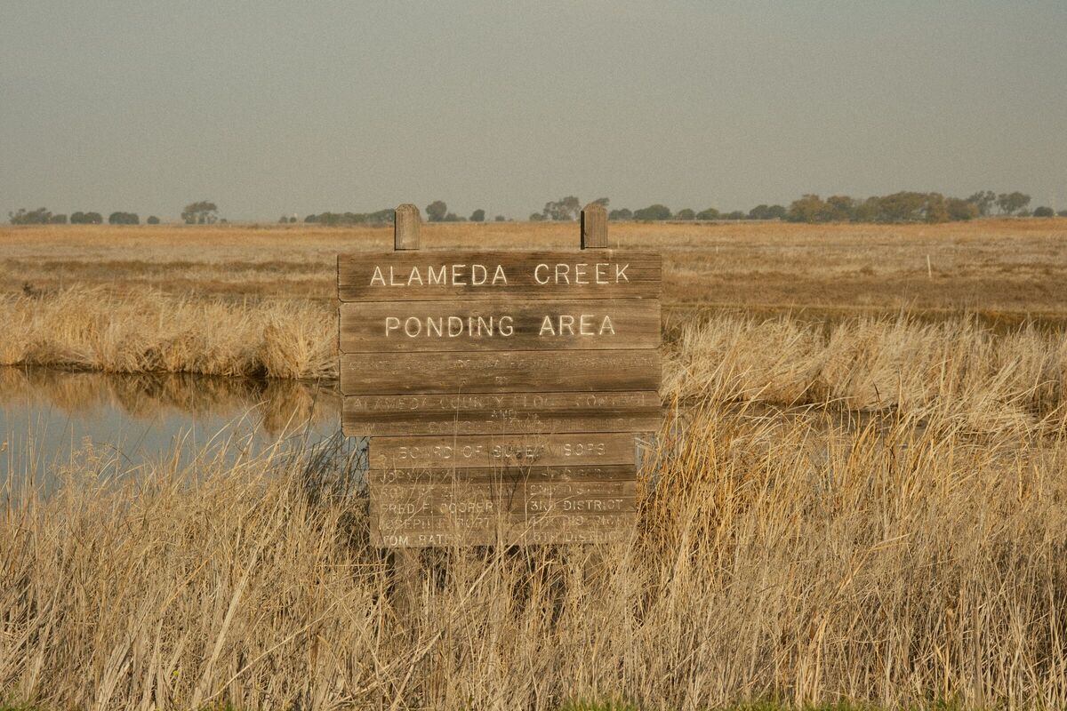 Ponding Area — Coyote Hills, Fremont, CA, 2022. Shot on Fujifilm X-T5.