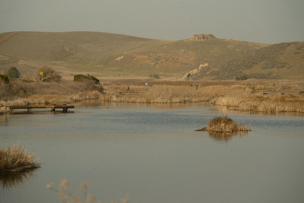 Still Pond — Coyote Hills, Fremont, CA, 2022. Shot on Fujifilm X-T5.