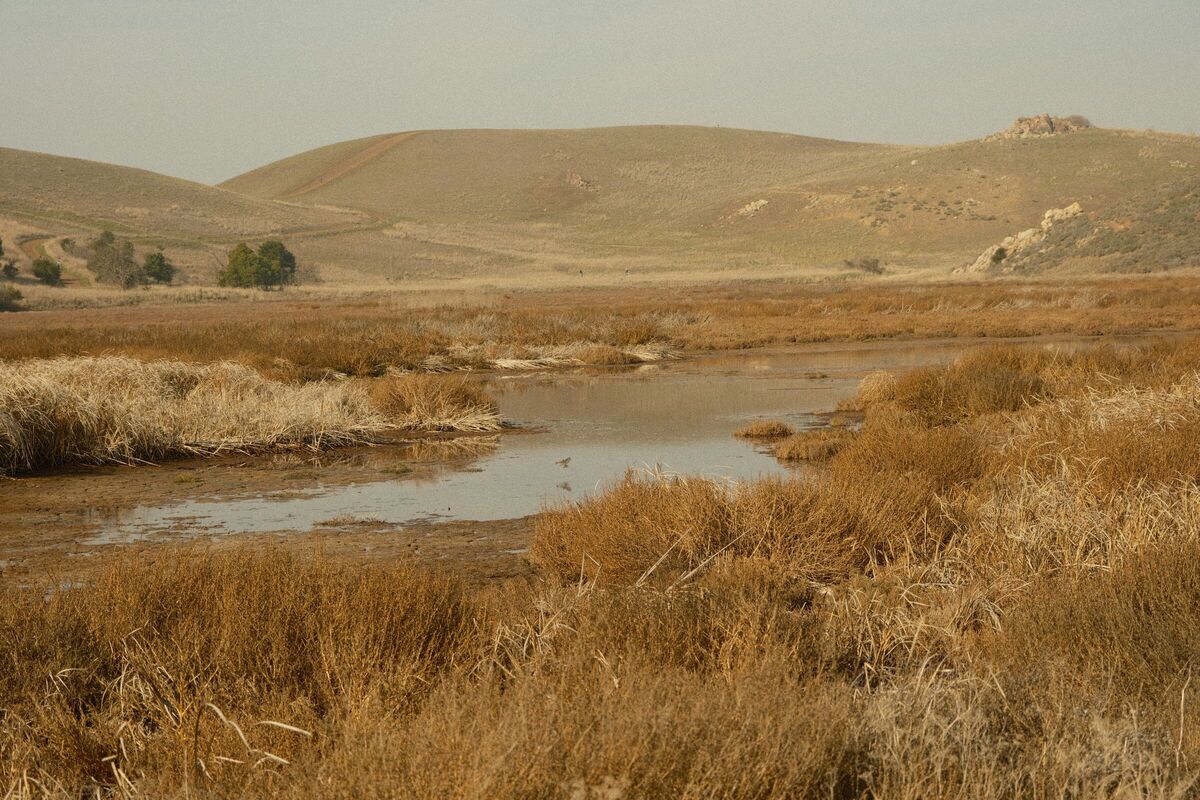 The Marsh — Coyote Hills, Fremont, CA, 2022. Shot on Fujifilm X-T5.