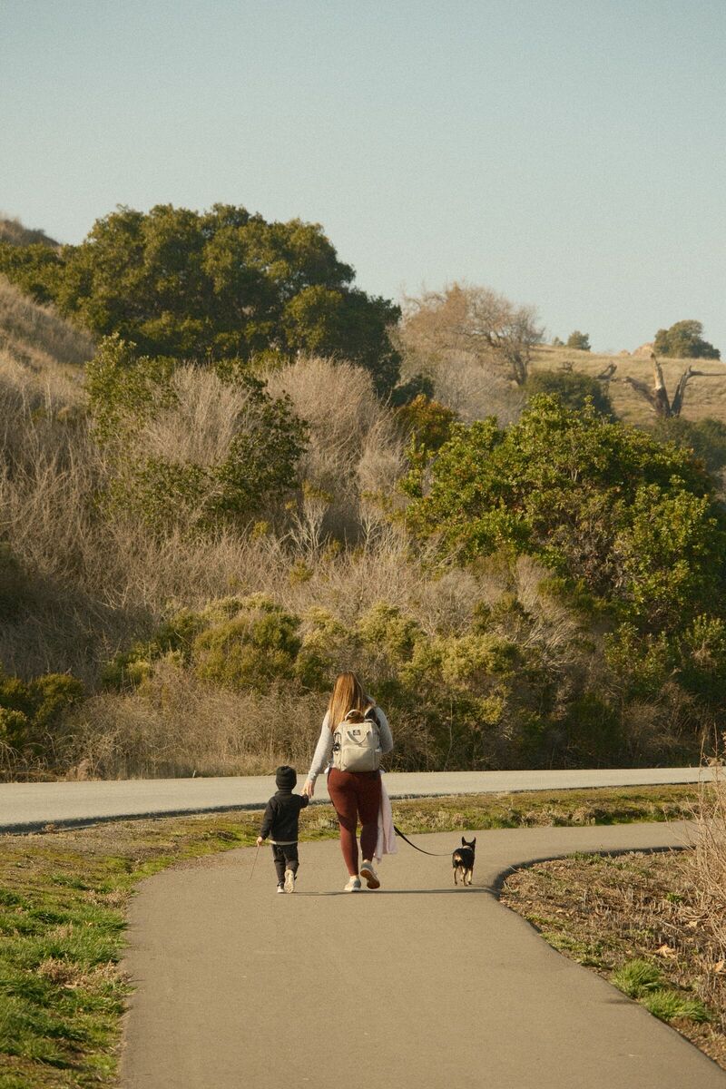 The Path — Coyote Hills, Fremont, CA, 2022. Shot on Fujifilm X-T5.