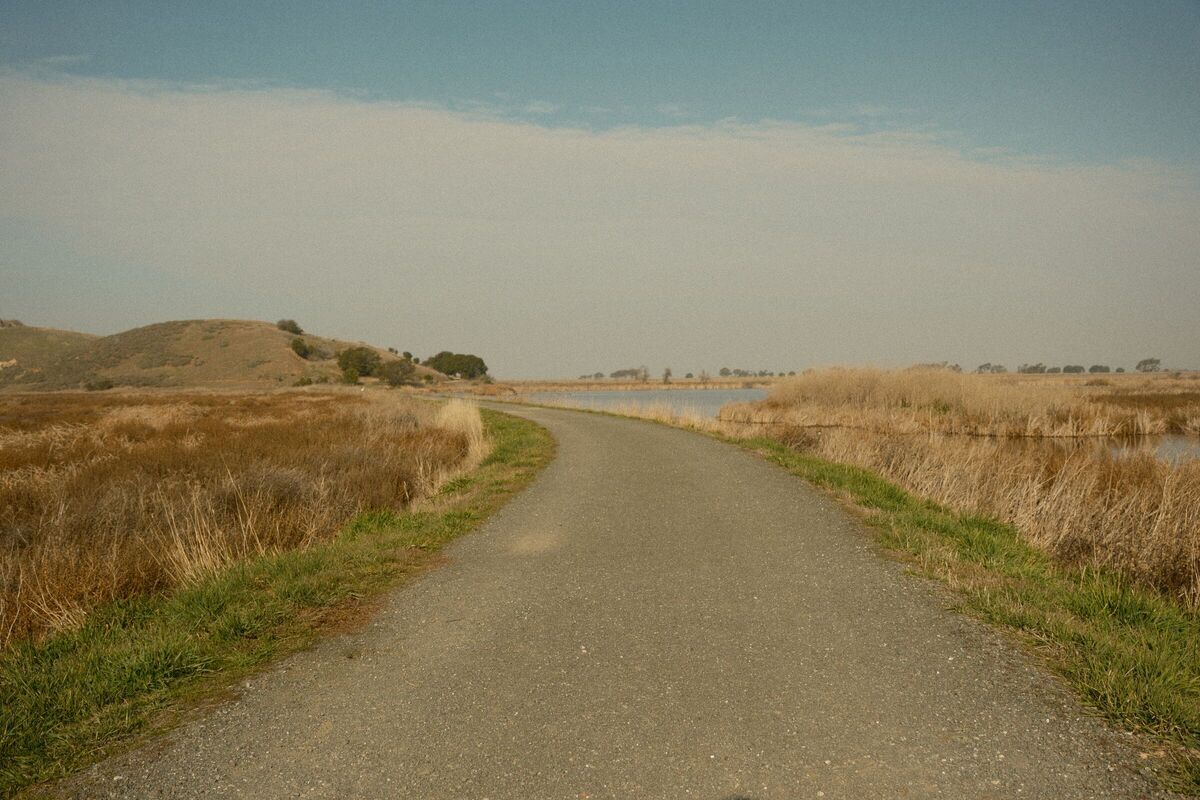 The Trail — Coyote Hills, Fremont, CA, 2022. Shot on Fujifilm X-T5.