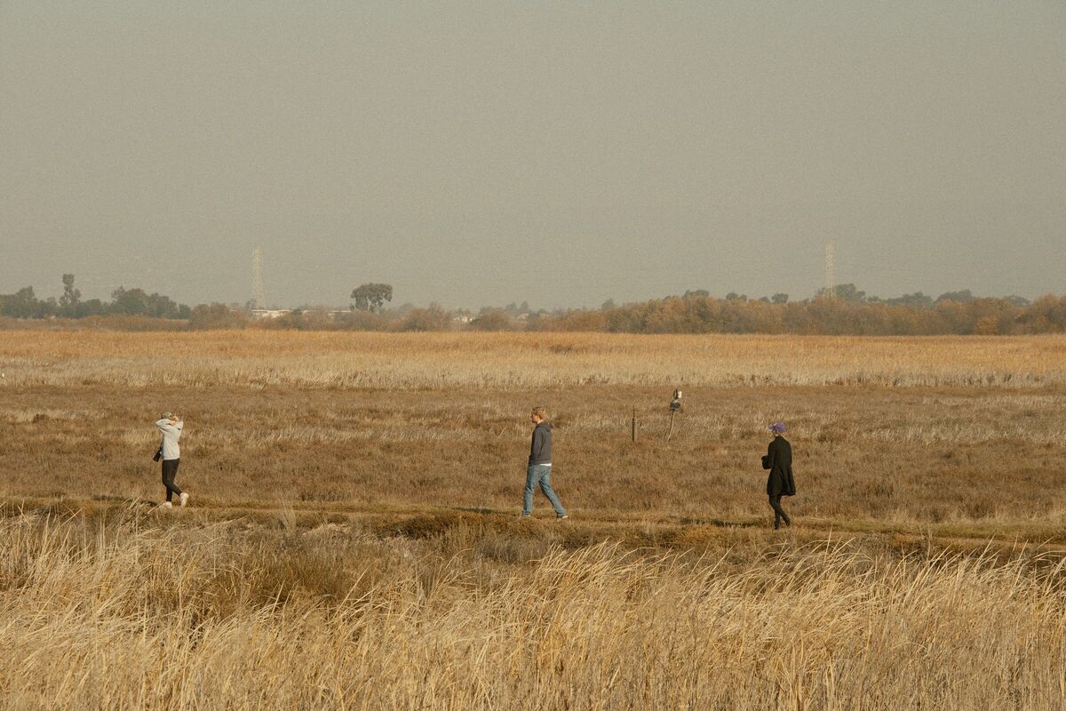Three Walkers — Coyote Hills, Fremont, CA, 2022. Shot on Fujifilm X-T5.