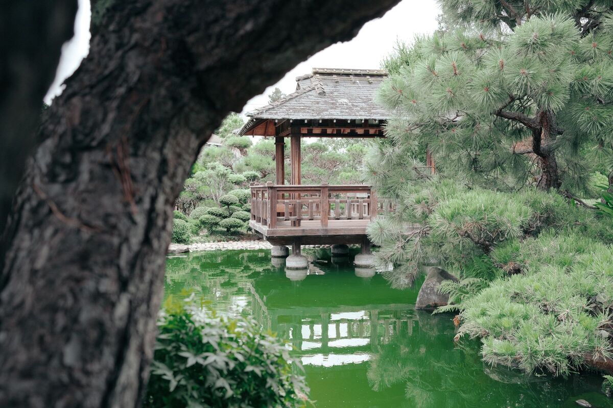 Pavilion framed — Japanese Gardens, Hayward, CA, 2023. Shot on Fujifilm X100V.