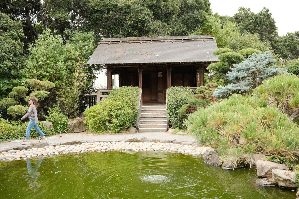 Pond house — Japanese Gardens, Hayward, CA, 2023. Shot on Fujifilm X100V.