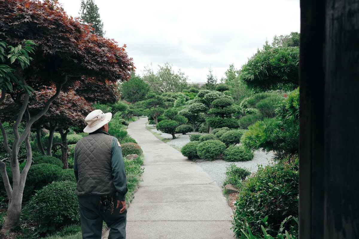 The gardener — Japanese Gardens, Hayward, CA, 2023. Shot on Fujifilm X100V.