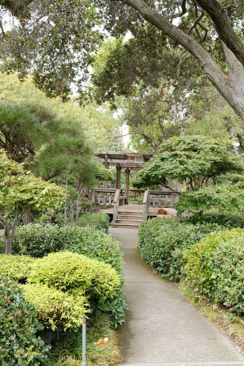 To the bridge — Japanese Gardens, Hayward, CA, 2023. Shot on Fujifilm X100V.